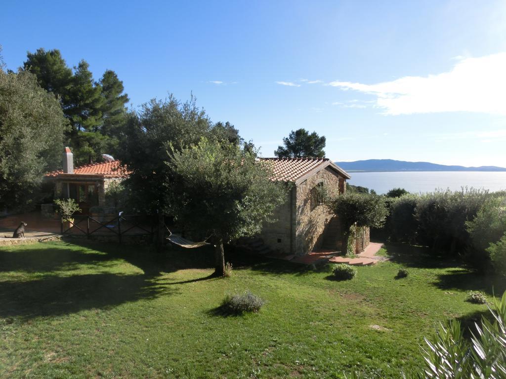 Talamoni B&B Talamone Exterior foto