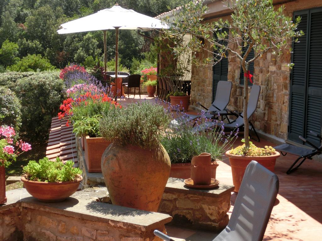 Talamoni B&B Talamone Exterior foto