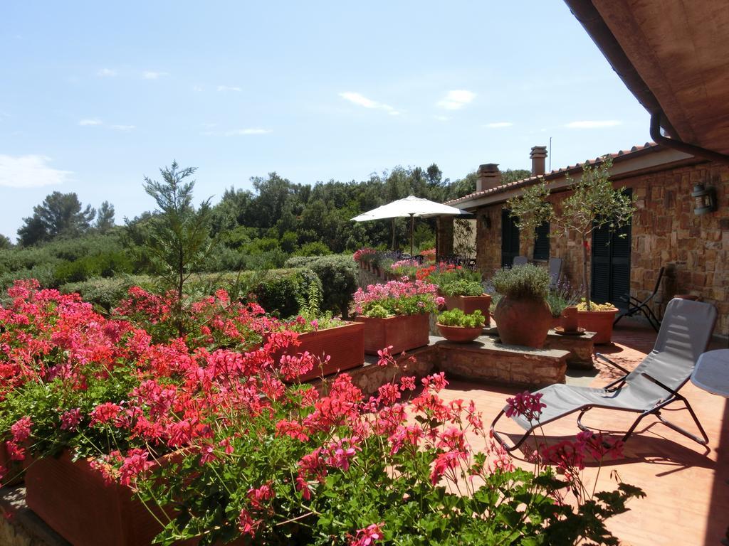 Talamoni B&B Talamone Exterior foto